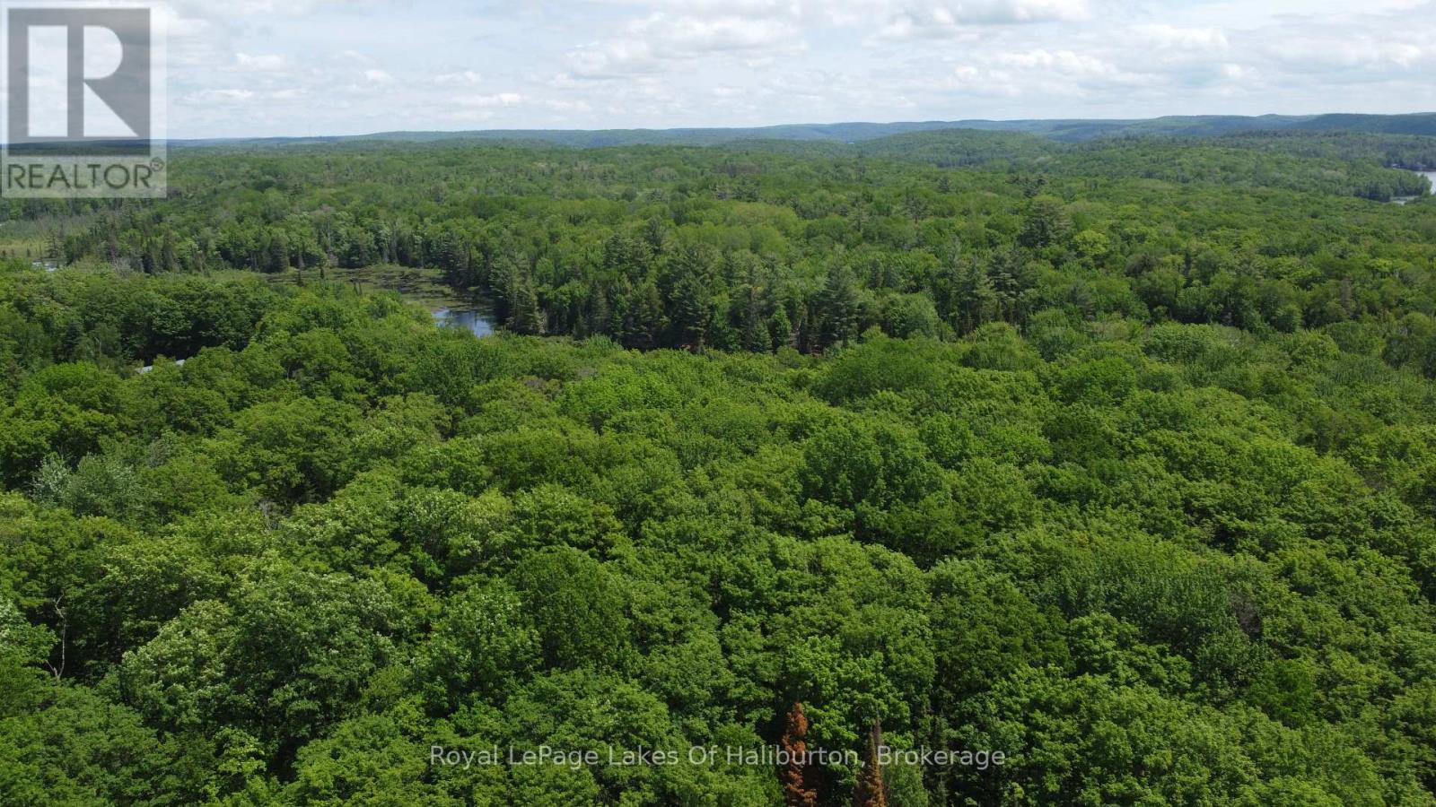 0 Tattersal Road, Dysart Et Al, Ontario K0M 1S0 - Photo 2 - X13431752
