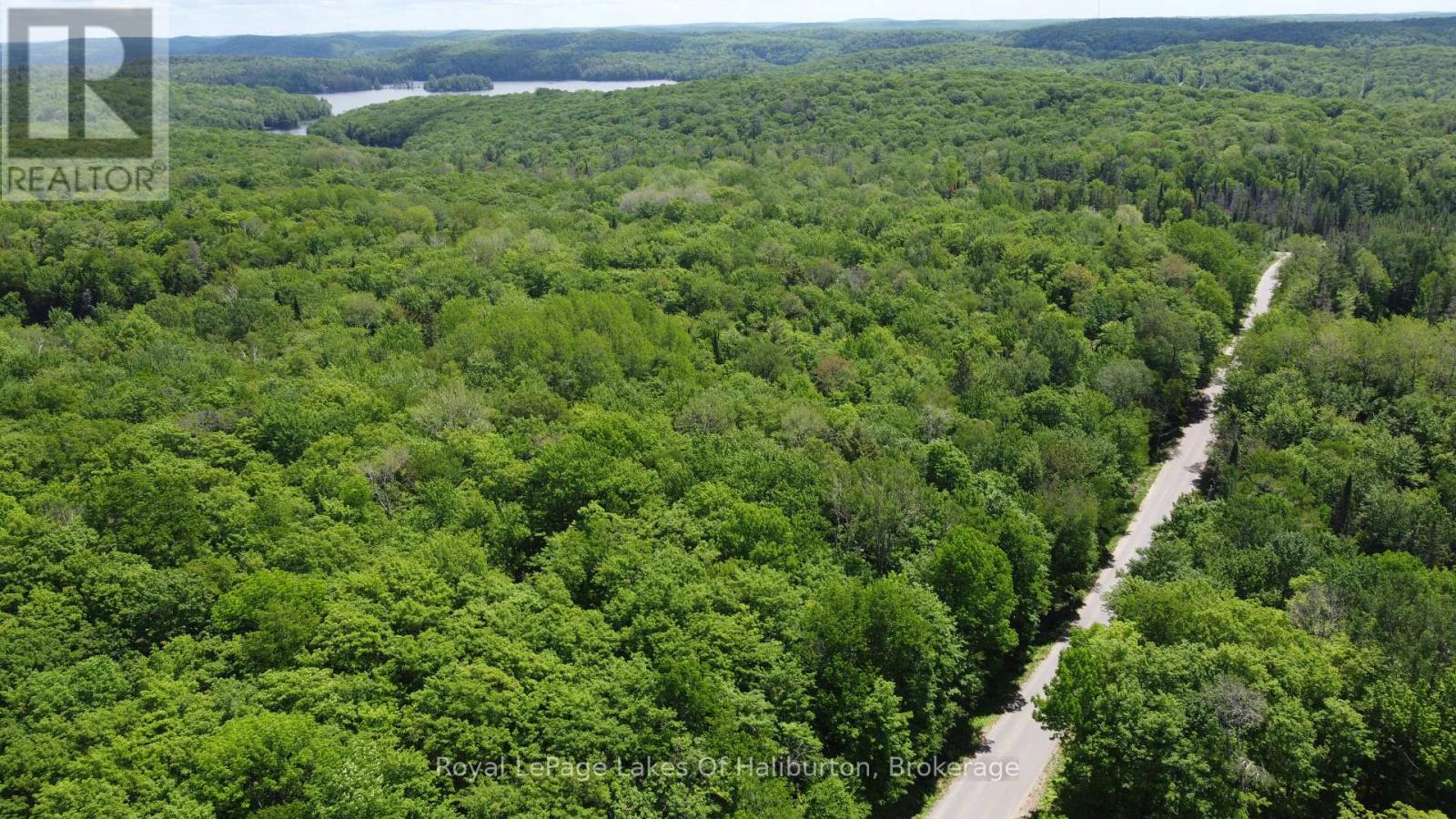 0 Tattersal Road, Dysart Et Al, Ontario K0M 1S0 - Photo 7 - X13431752
