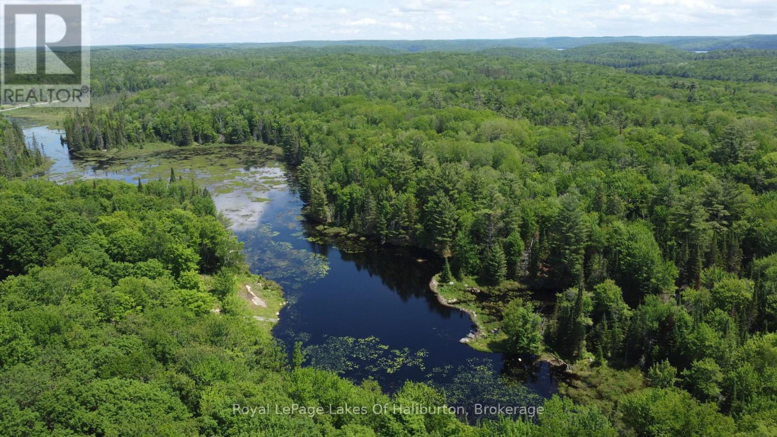 0 Tattersal Road, Dysart Et Al, Ontario K0M 1S0 - Photo 9 - X13431752