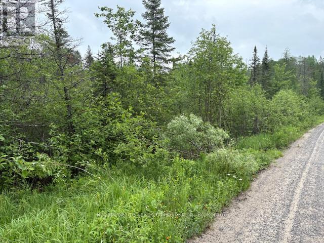 0 Tattersal Road, Dysart Et Al, Ontario K0M 1S0 - Photo 6 - X13431752