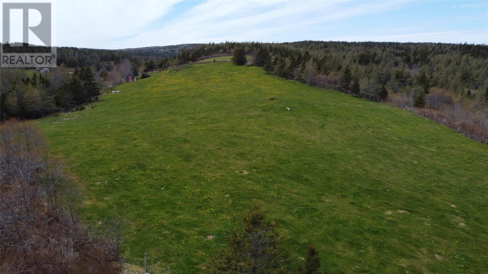 Lot 1 Black Duck Pond Road, Freshwater, Newfoundland & Labrador  A0A 4G0 - Photo 12 - 1298869