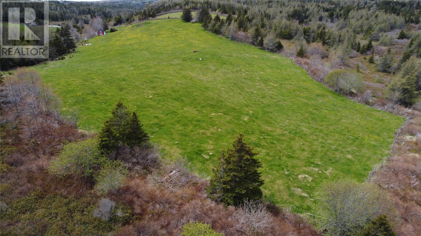 Lot 1 Black Duck Pond Road, Freshwater, Newfoundland & Labrador  A0A 4G0 - Photo 13 - 1298869