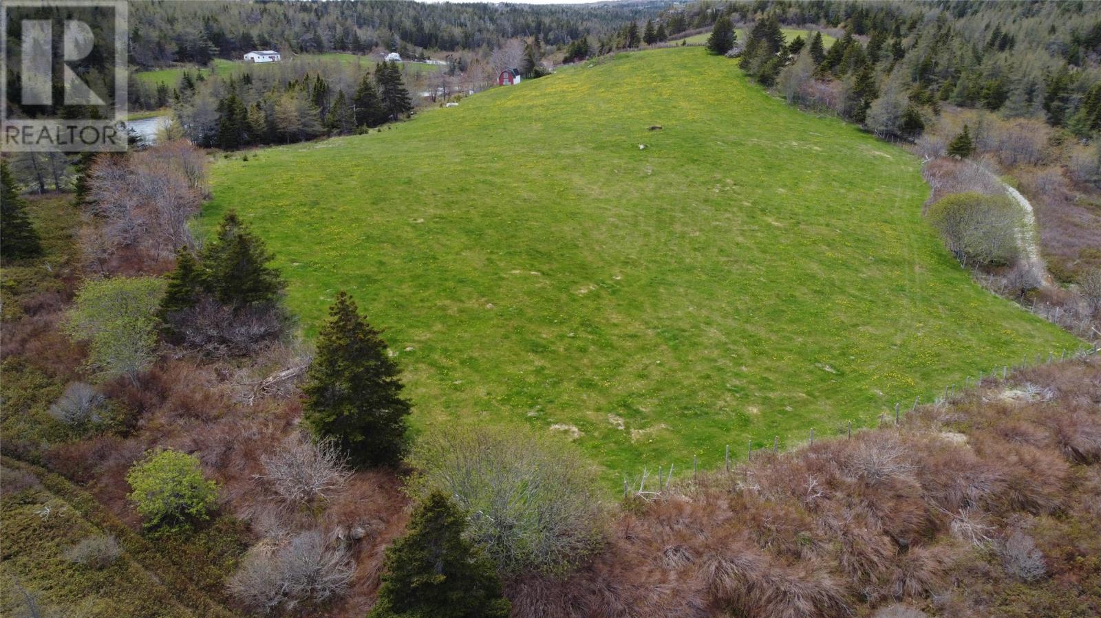 Lot 1 Black Duck Pond Road, Freshwater, Newfoundland & Labrador  A0A 4G0 - Photo 14 - 1298869