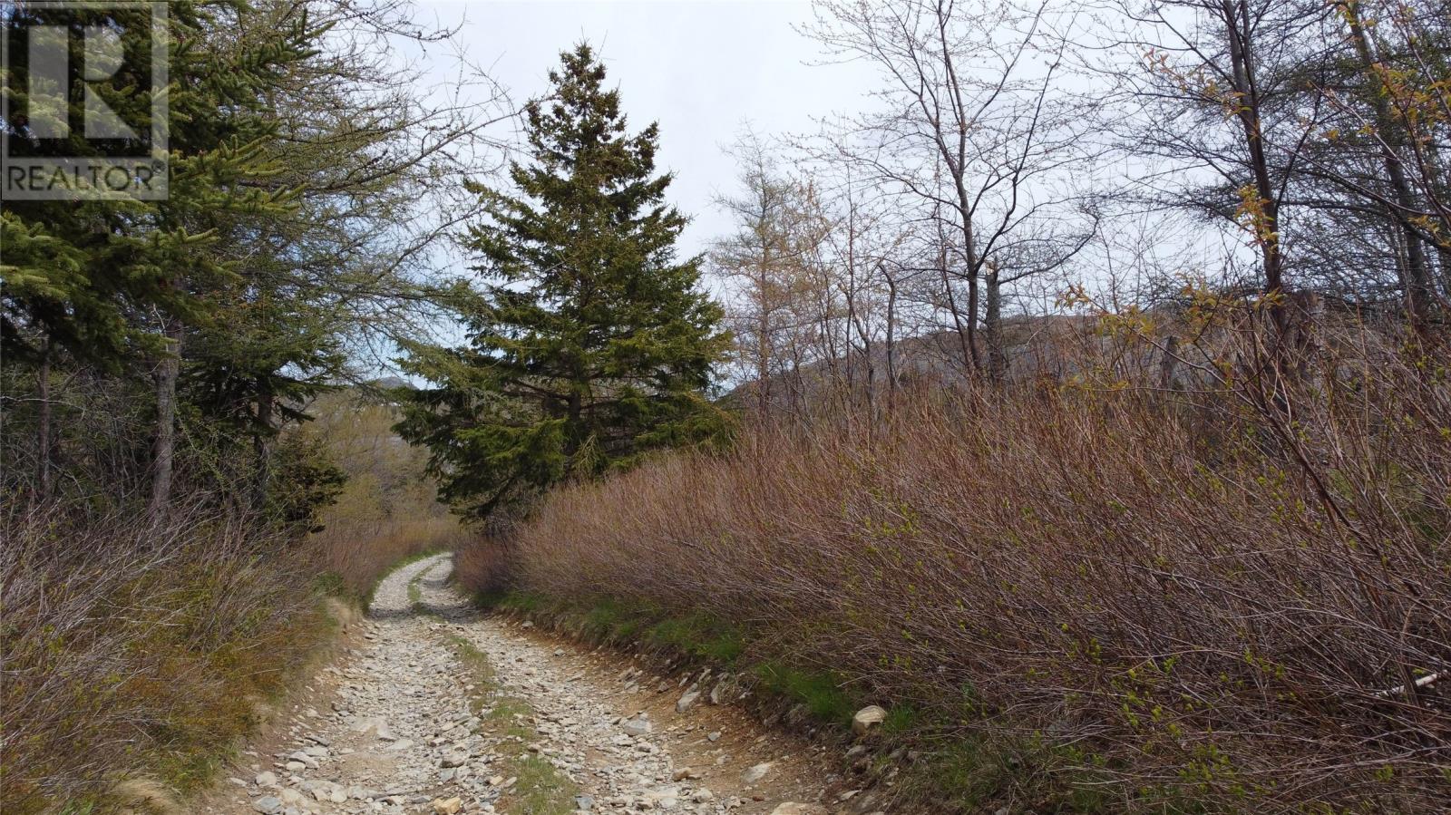 Lot 1 Black Duck Pond Road, Freshwater, Newfoundland & Labrador  A0A 4G0 - Photo 27 - 1298869