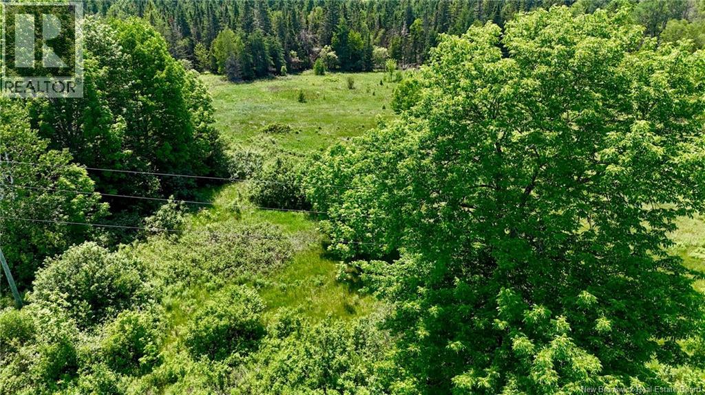 1509 Route 735, Scotch Ridge, New Brunswick  E3L 5K1 - Photo 13 - NB135712