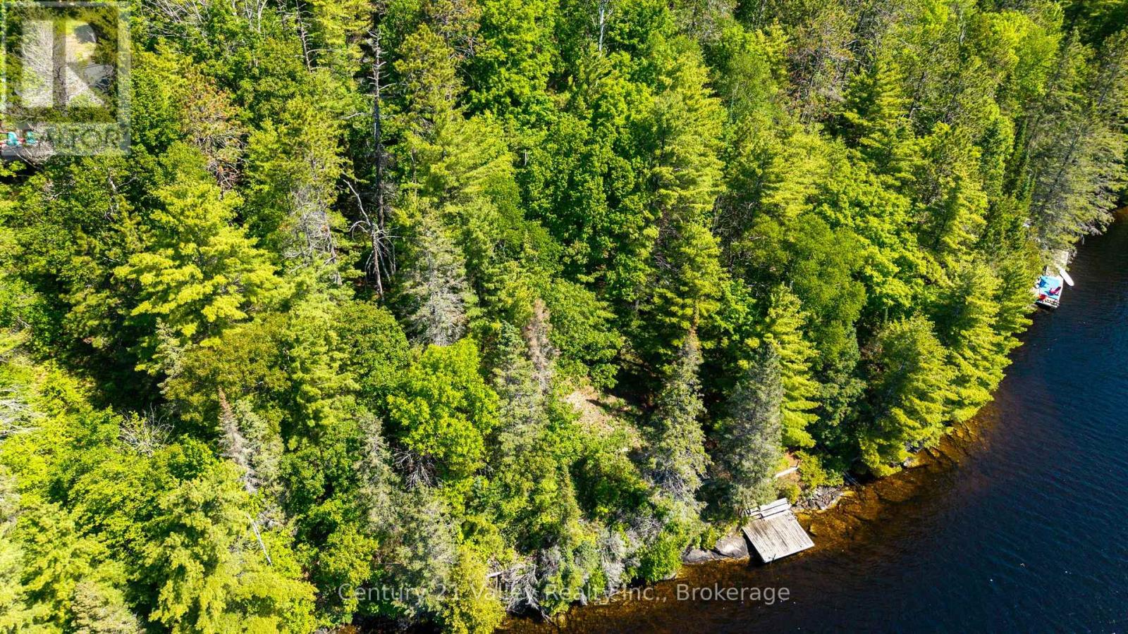 159 Oak Hill Way, Greater Madawaska, Ontario  K0J 1H0 - Photo 24 - X13433412