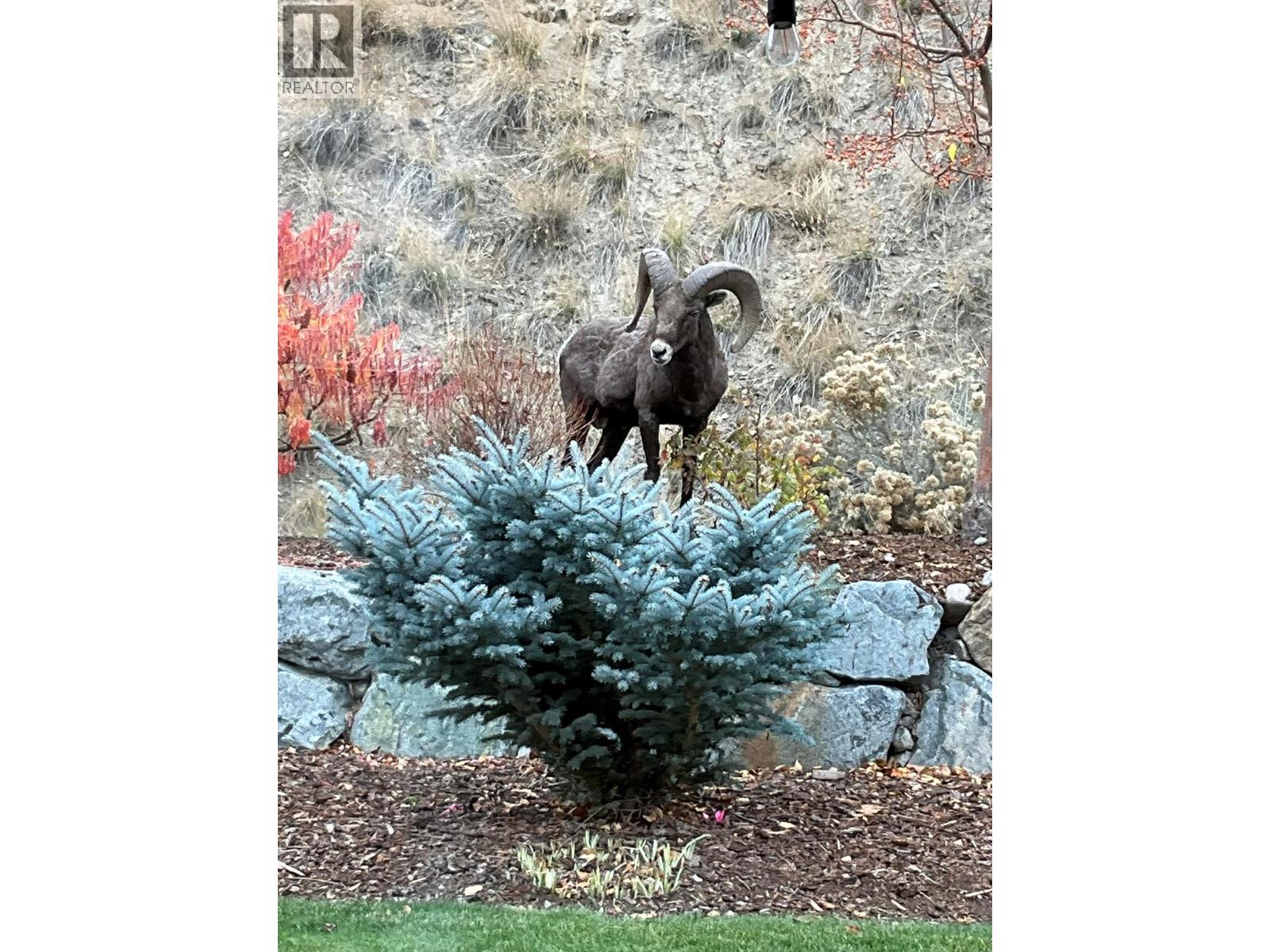 715 Belmonte Terrace, Kamloops, British Columbia  V2H 0C6 - Photo 66 - 10389853