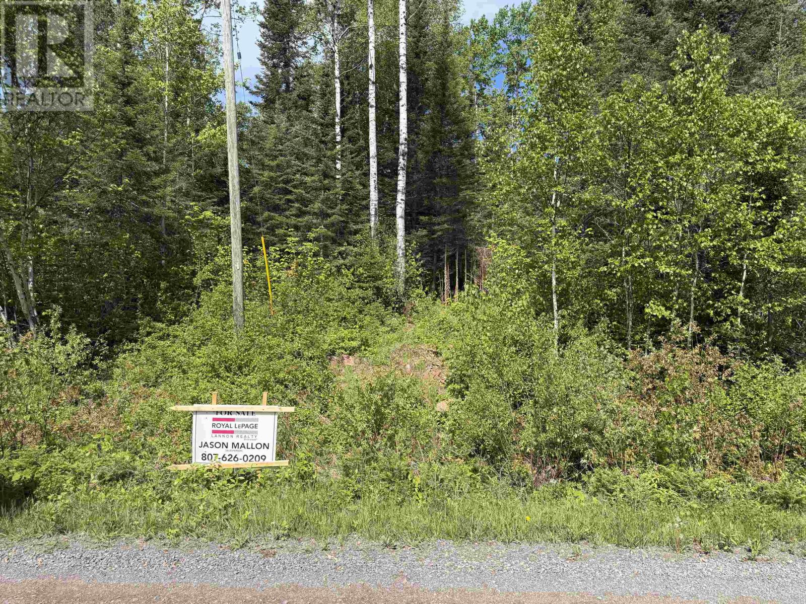 Lot 3 Grann Drive, Shuniah, Ontario  P0T 2M0 - Photo 2 - TB2601468