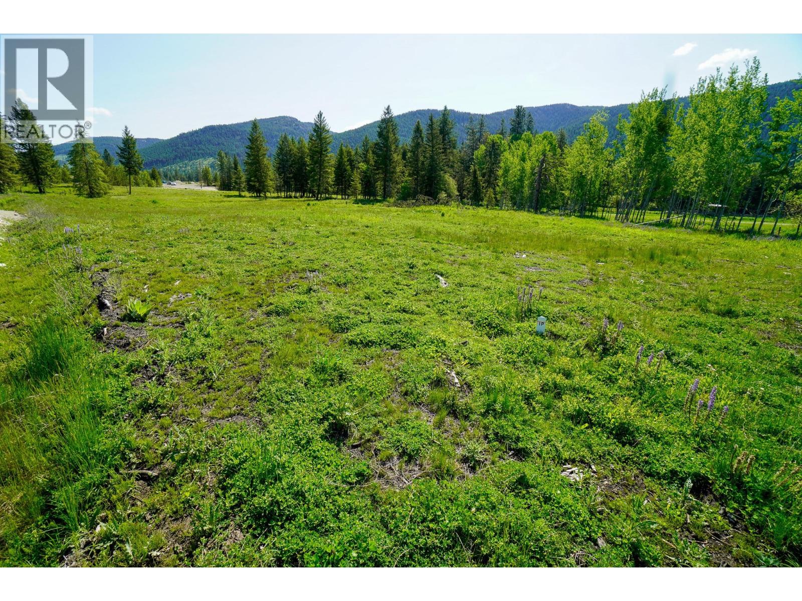 Lot 3 Mary G Road, Beaverdell, British Columbia  V0H 1A0 - Photo 13 - 10351770
