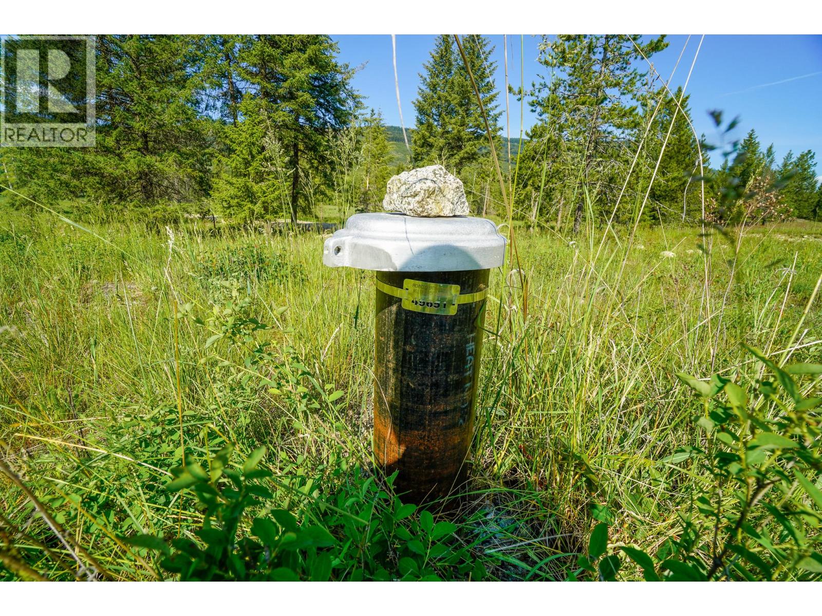 Lot 3 Mary G Road, Beaverdell, British Columbia  V0H 1A0 - Photo 9 - 10351770