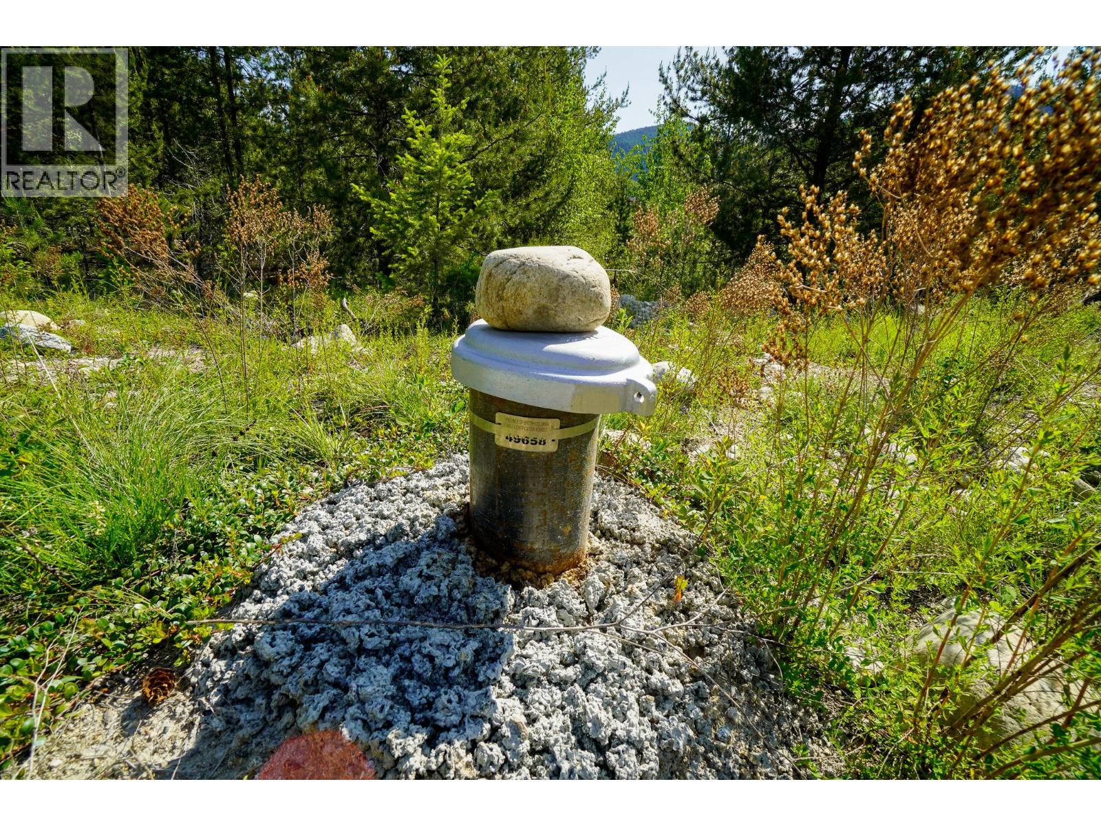 Lot 10 Mary G Road, Beaverdell, British Columbia  V0H 1A0 - Photo 5 - 10351904