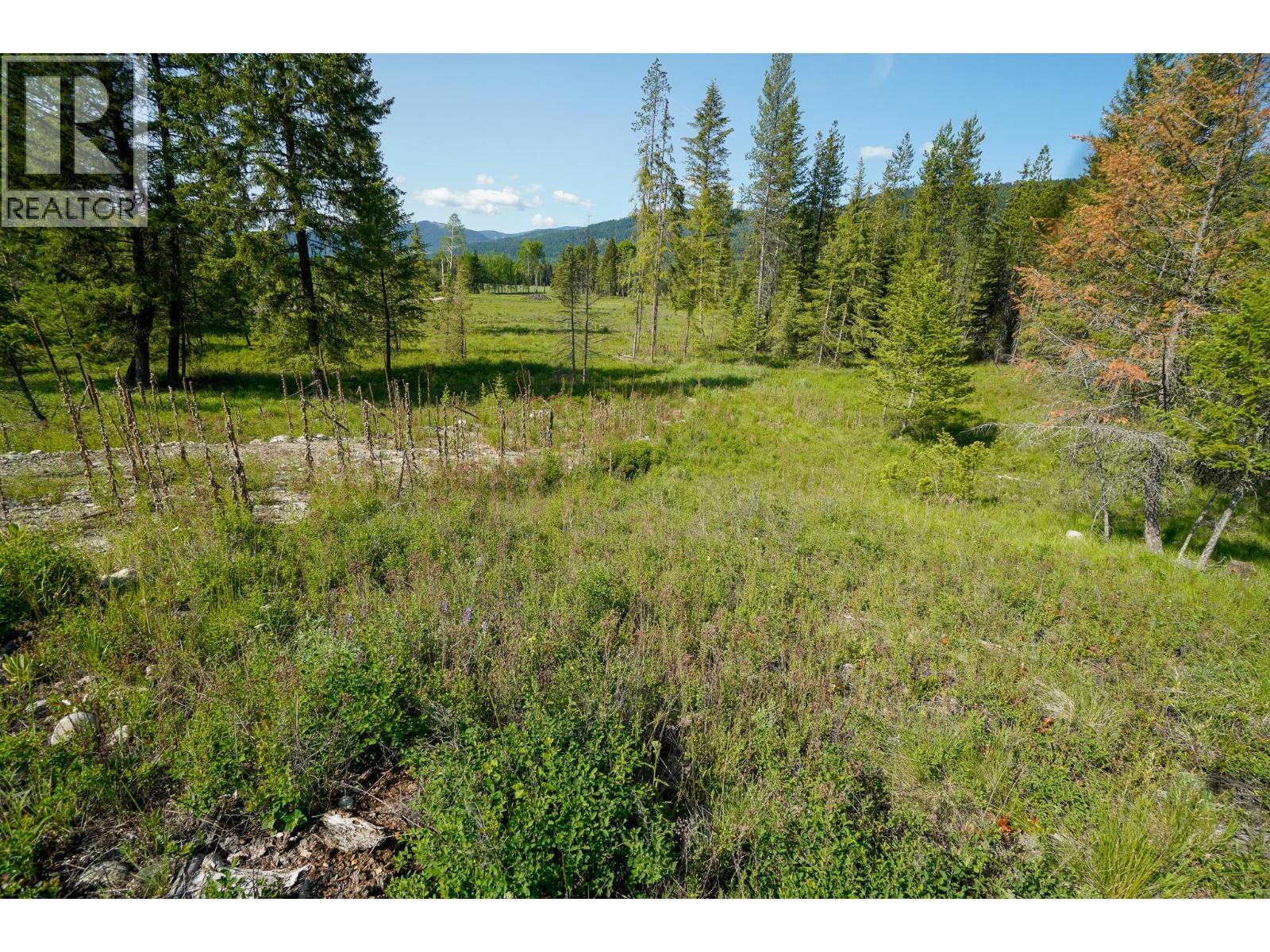 Lot 4 Mary G Road, Beaverdell, British Columbia  V0H 1A0 - Photo 7 - 10351810