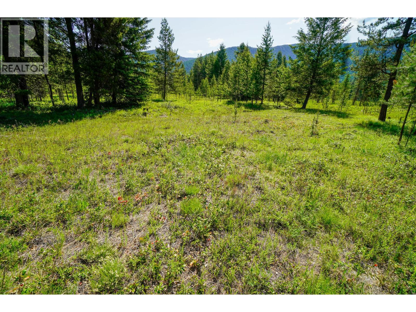 Lot 6 Mary G Road, Beaverdell, British Columbia  V0H 1A0 - Photo 3 - 10351847