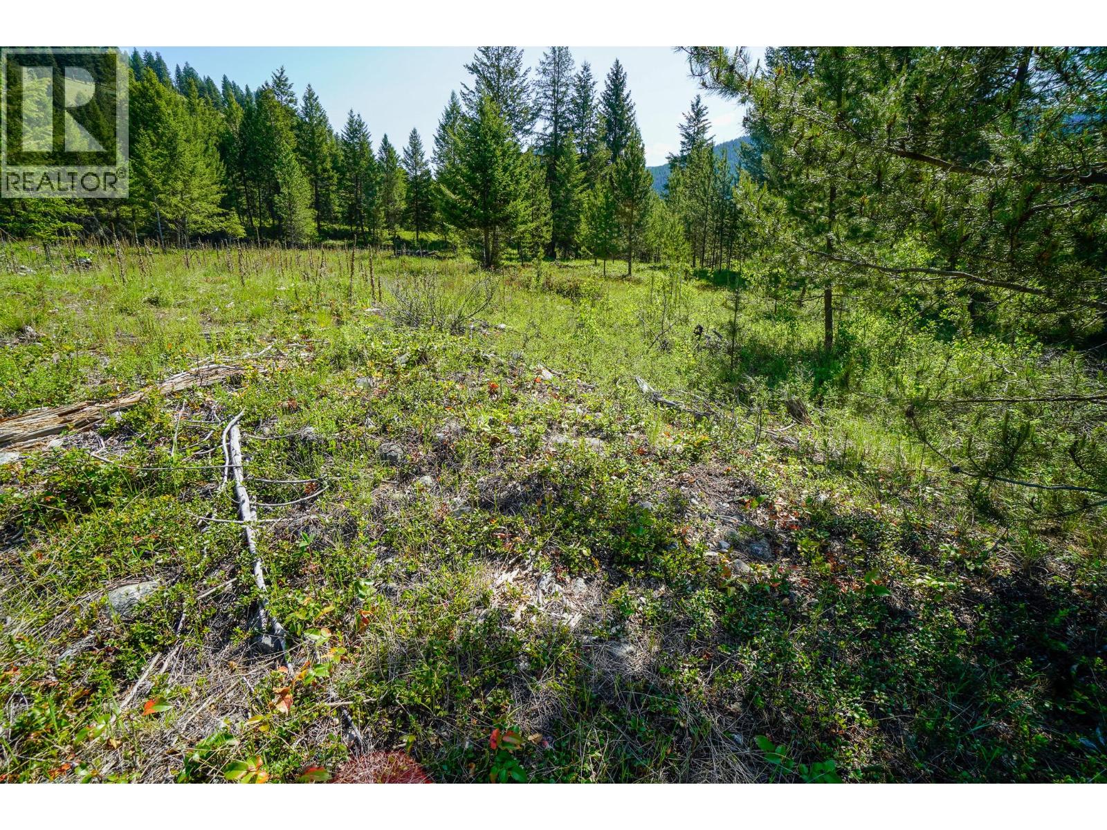 Lot 6 Mary G Road, Beaverdell, British Columbia  V0H 1A0 - Photo 6 - 10351847