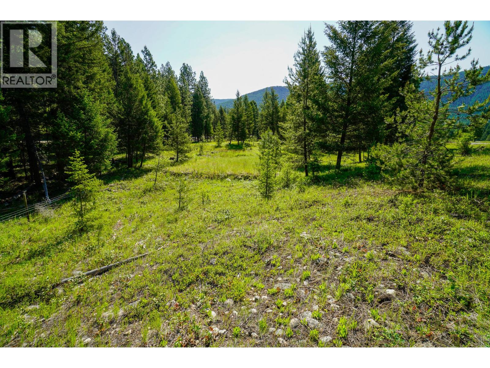 Lot 8 Mary G Road, Beaverdell, British Columbia  V0H 1A0 - Photo 2 - 10351863