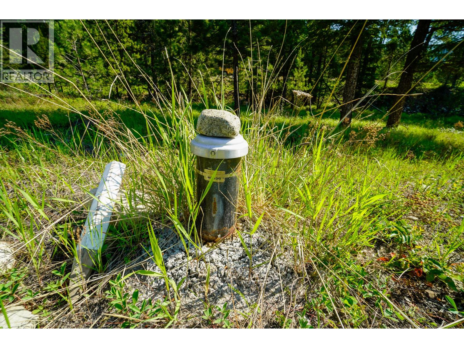 Lot 8 Mary G Road, Beaverdell, British Columbia  V0H 1A0 - Photo 9 - 10351863