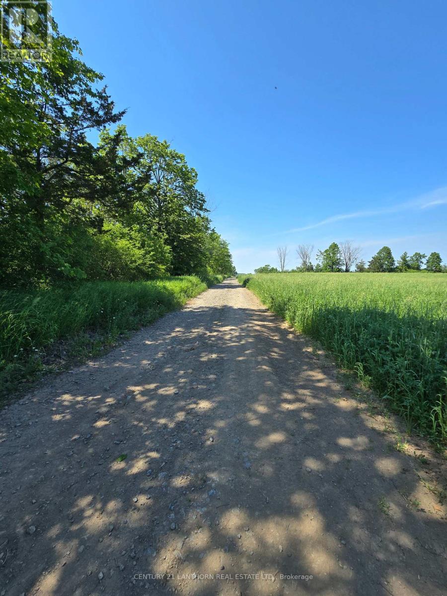 0 Shannonville Road, Tyendinaga, Ontario  K0K 1V0 - Photo 3 - X12701518