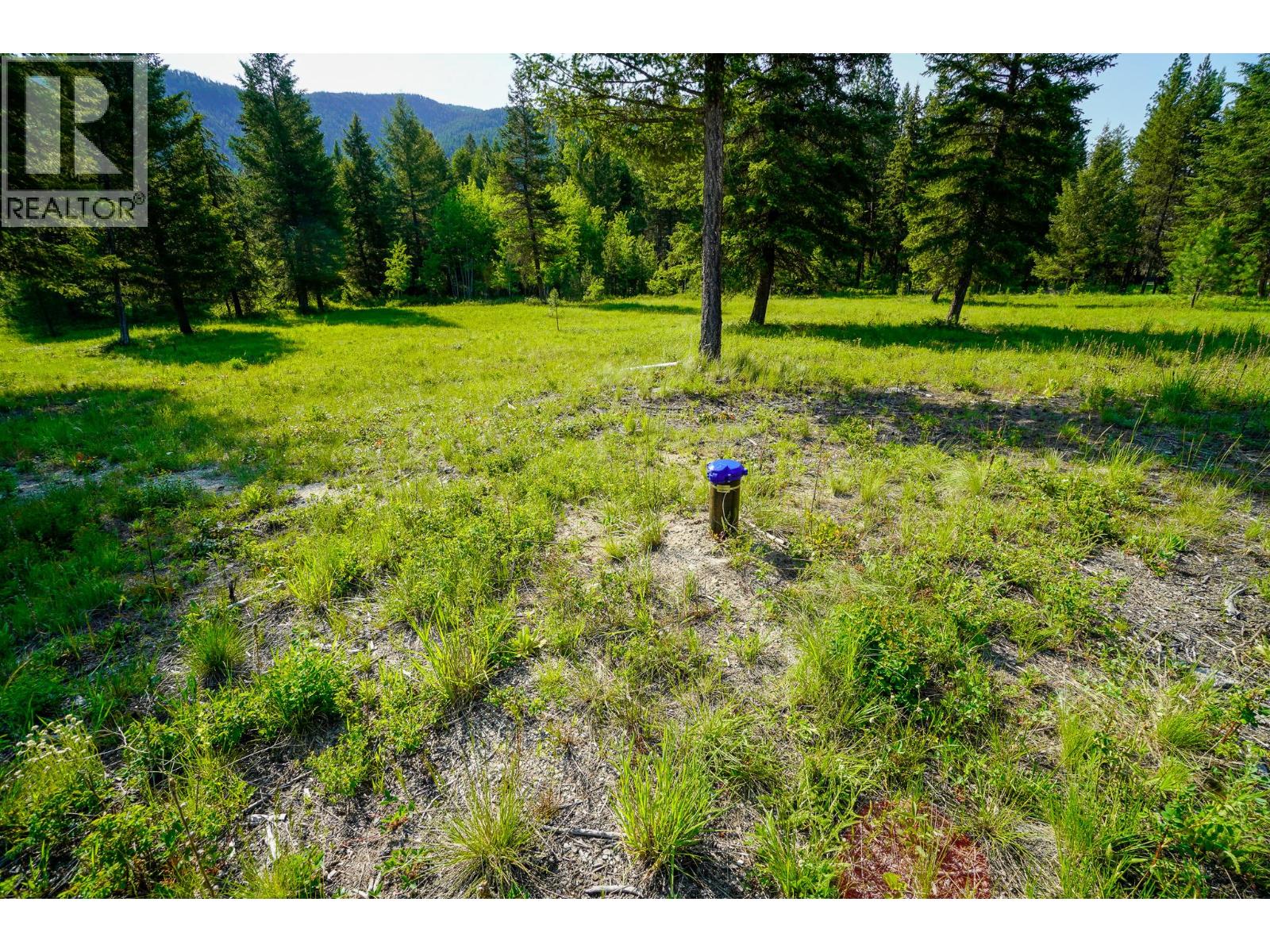 Lot 2 Mary G Road, Beaverdell, British Columbia  V0H 1A0 - Photo 5 - 10351657