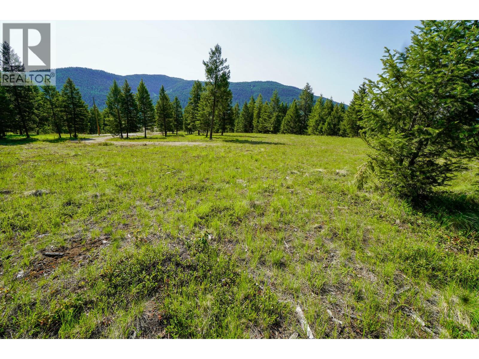 Lot 7 Mary G Road, Beaverdell, British Columbia  V0H 1A0 - Photo 9 - 10351855