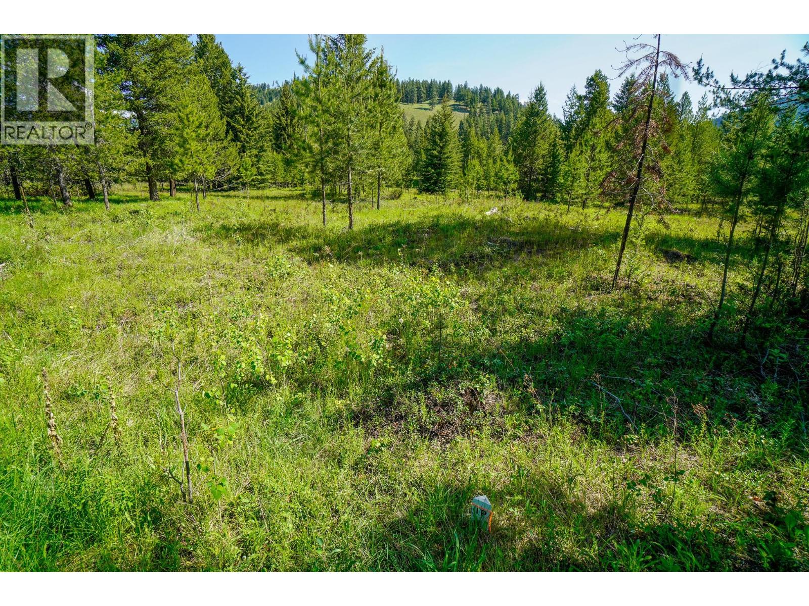 Lot 5 Mary G Road, Beaverdell, British Columbia  V0H 1A0 - Photo 11 - 10351828