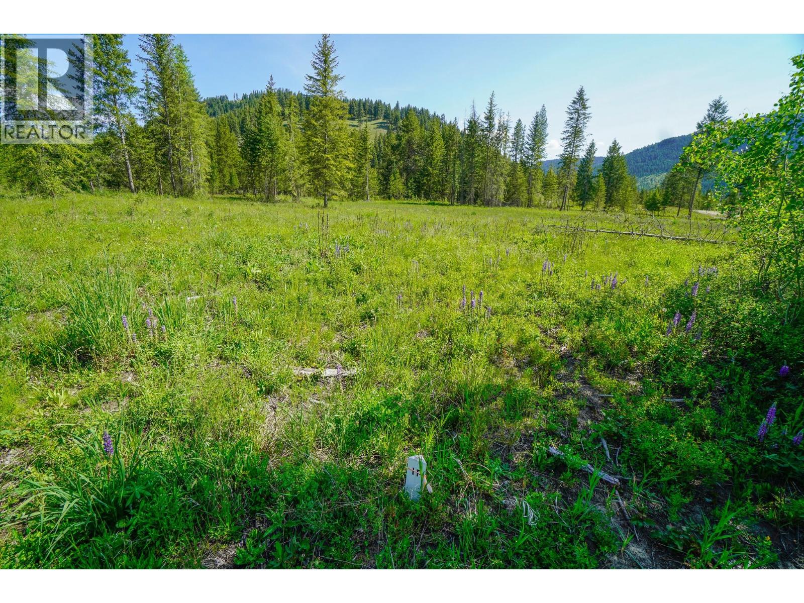 Lot 5 Mary G Road, Beaverdell, British Columbia  V0H 1A0 - Photo 9 - 10351828