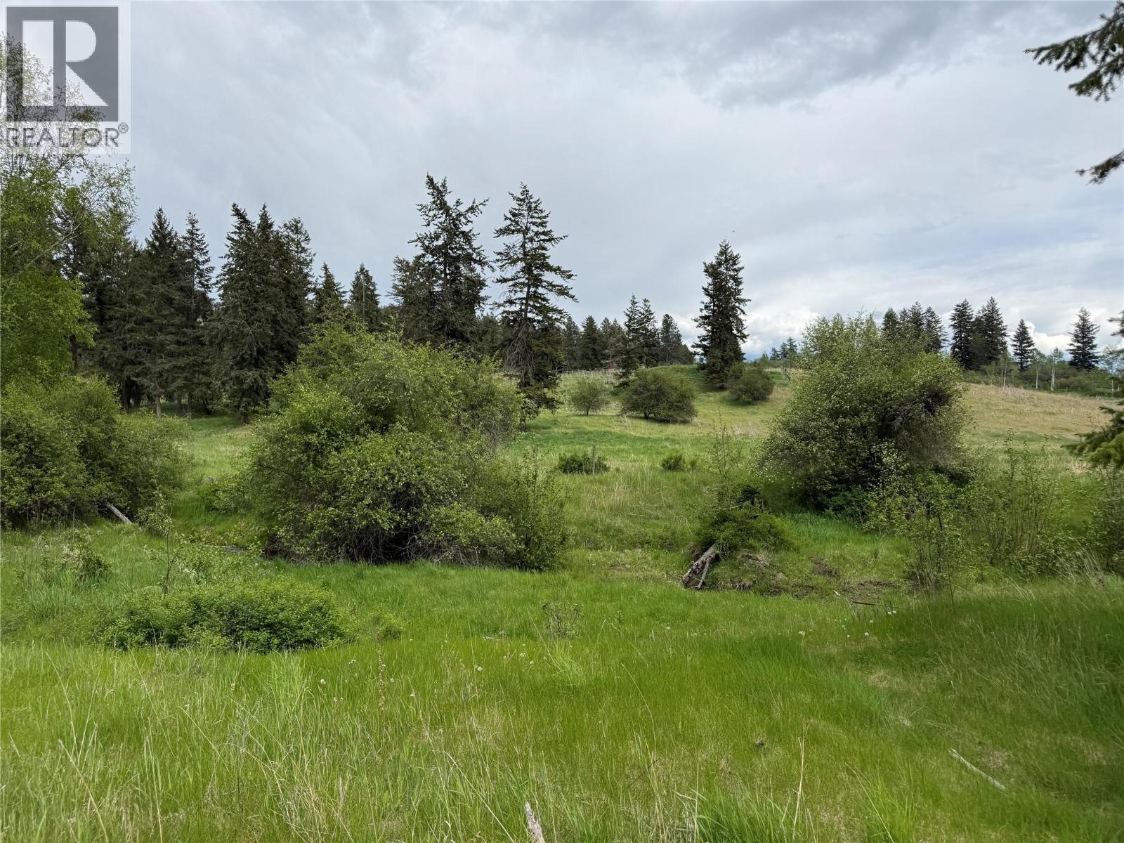 306 Irish Creek Road S, Vernon, British Columbia  V1H 2A4 - Photo 26 - 10390114