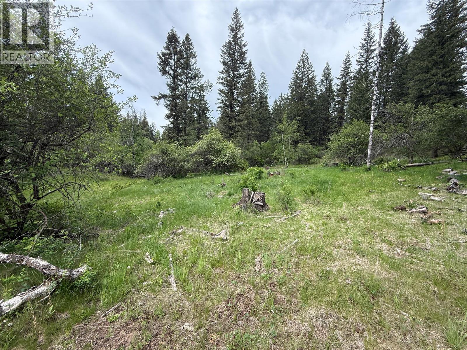306 Irish Creek Road S, Vernon, British Columbia  V1H 2A4 - Photo 11 - 10390114