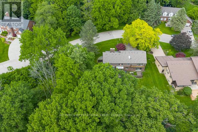 20 Ridgeview Court, Hamilton, Ontario  L9G 3X9 - Photo 44 - X13433950