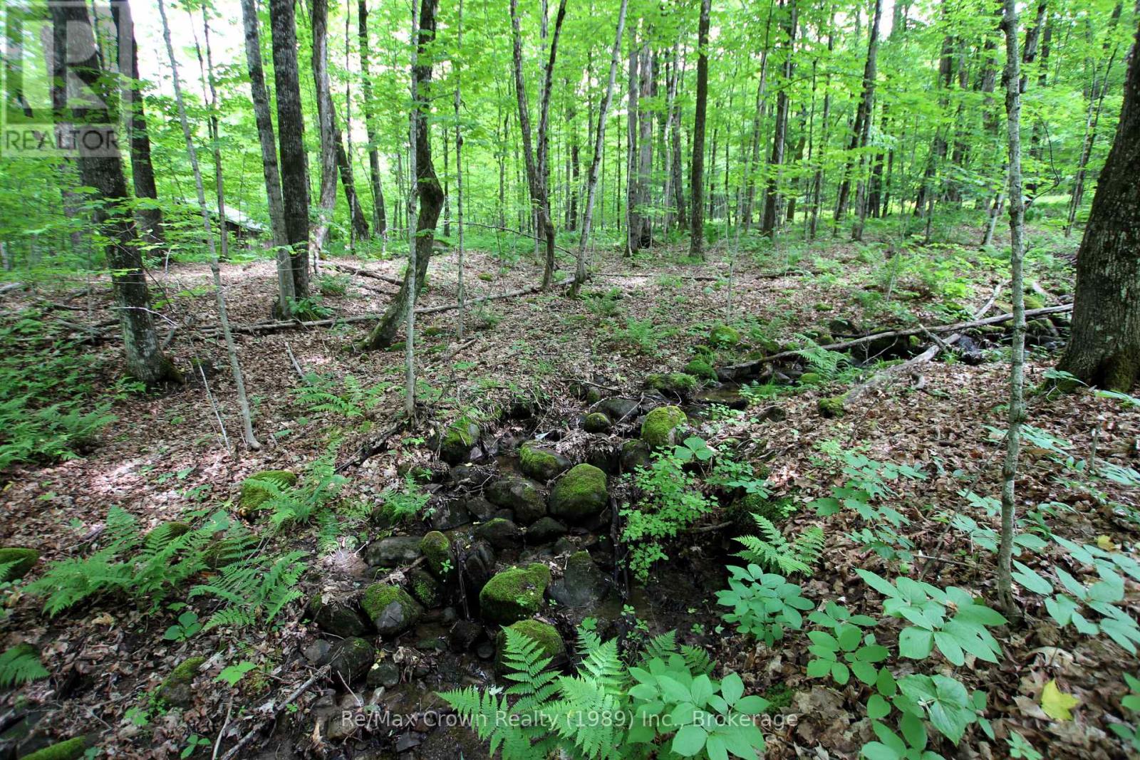 0 Limberlost Point Road, Parry Sound Remote Area, Ontario  P0H 2R0 - Photo 10 - X13434558