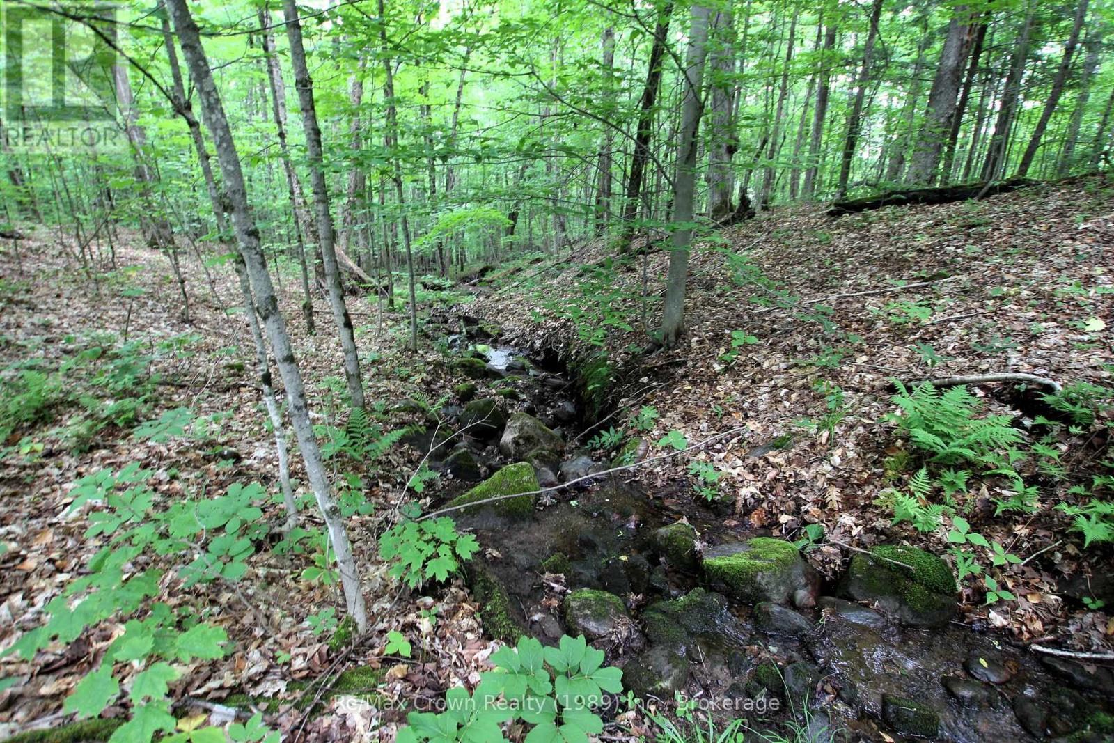 0 Limberlost Point Road, Parry Sound Remote Area, Ontario  P0H 2R0 - Photo 11 - X13434558