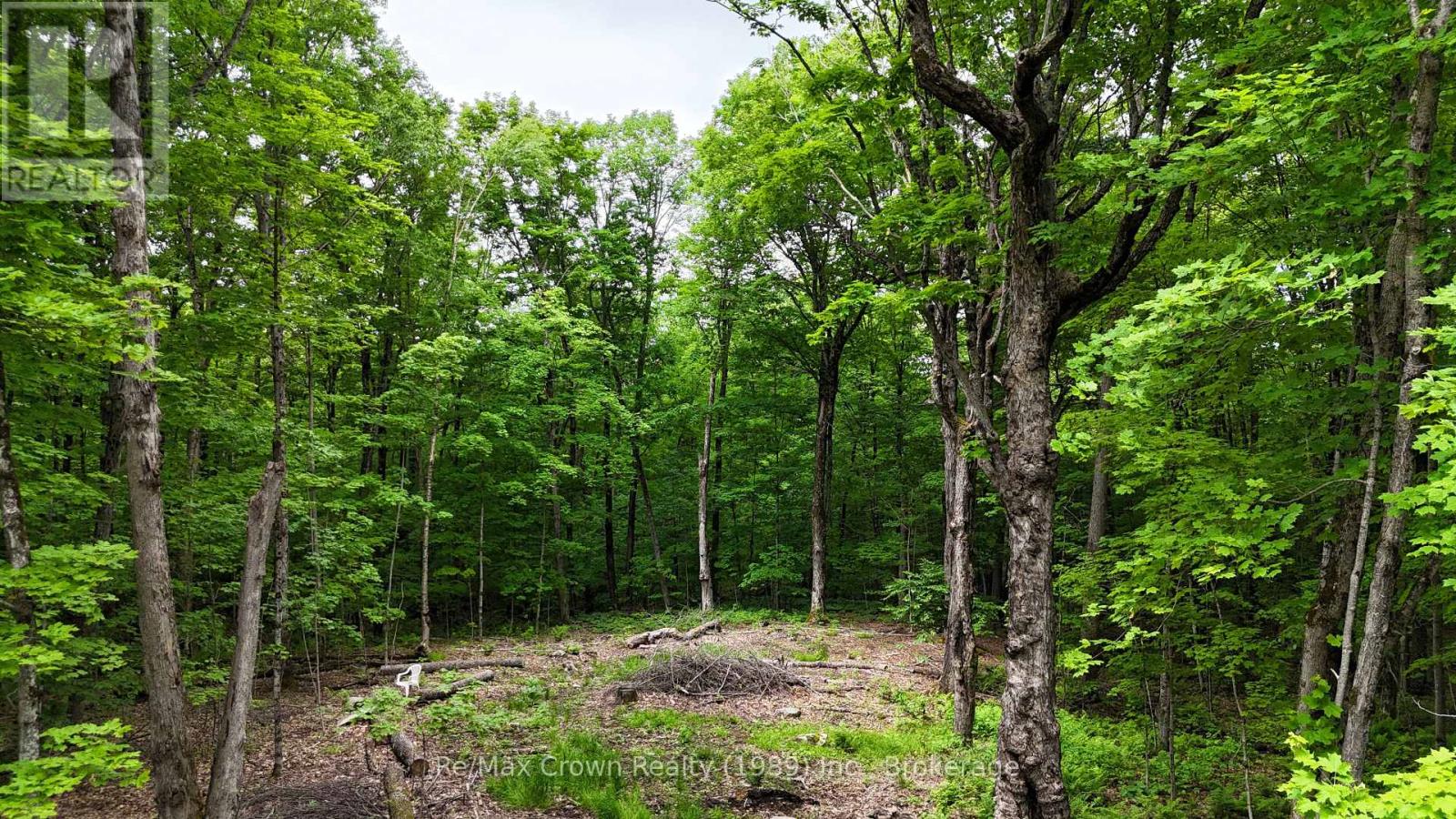 0 Limberlost Point Road, Parry Sound Remote Area, Ontario  P0H 2R0 - Photo 12 - X13434558
