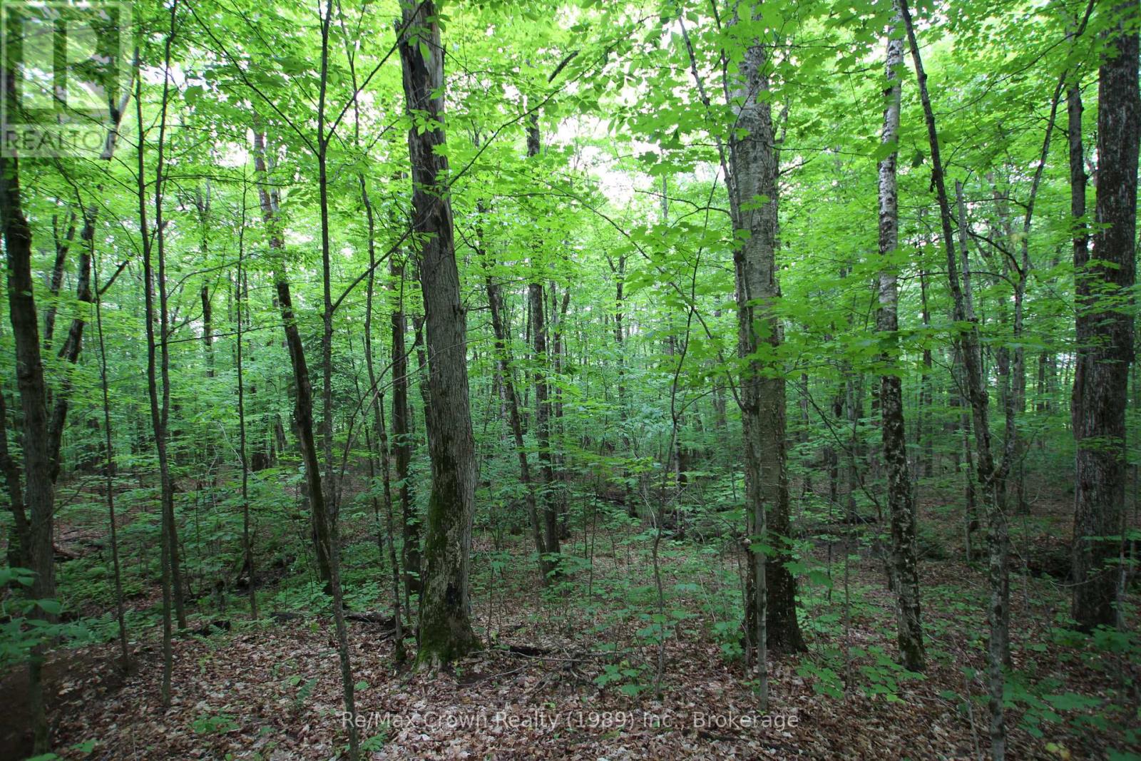 0 Limberlost Point Road, Parry Sound Remote Area, Ontario  P0H 2R0 - Photo 15 - X13434558