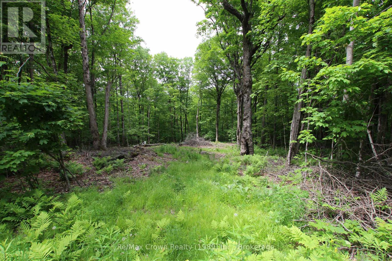 0 Limberlost Point Road, Parry Sound Remote Area, Ontario  P0H 2R0 - Photo 6 - X13434558