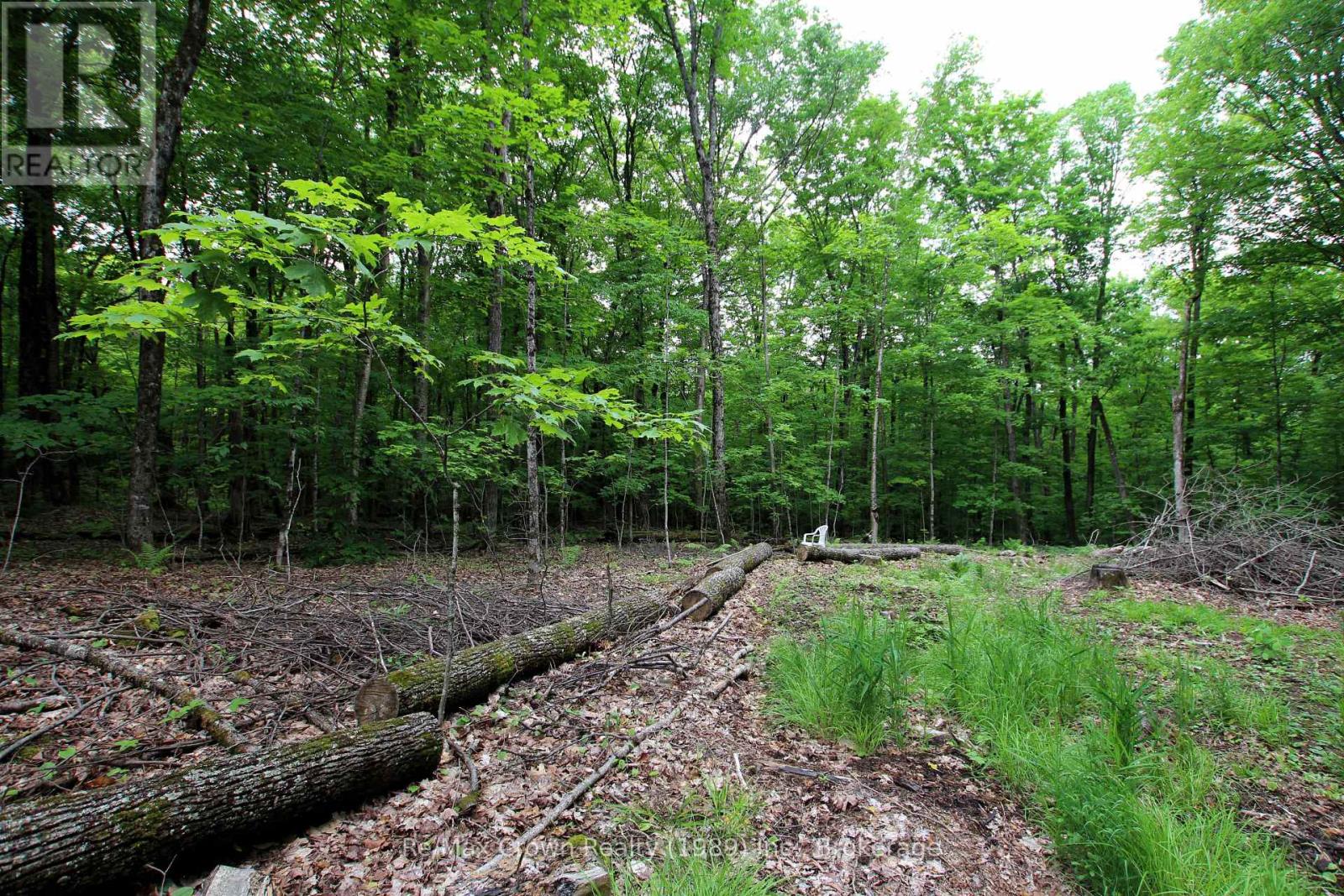0 Limberlost Point Road, Parry Sound Remote Area, Ontario  P0H 2R0 - Photo 7 - X13434558