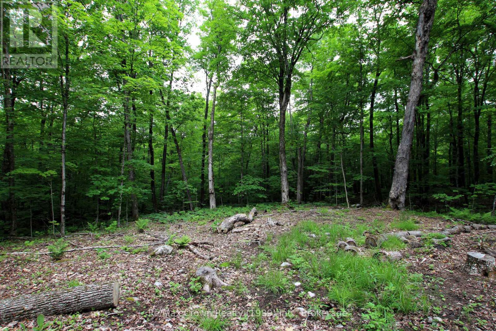 0 Limberlost Point Road, Parry Sound Remote Area, Ontario  P0H 2R0 - Photo 8 - X13434558
