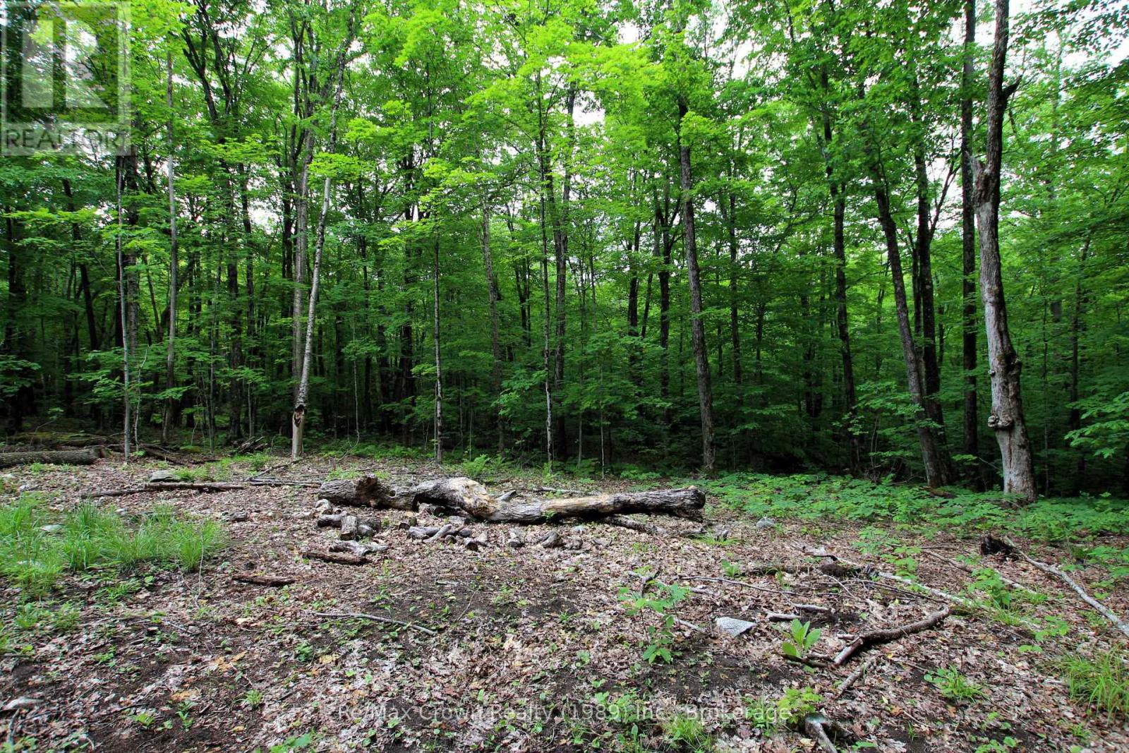 0 Limberlost Point Road, Parry Sound Remote Area, Ontario  P0H 2R0 - Photo 9 - X13434558