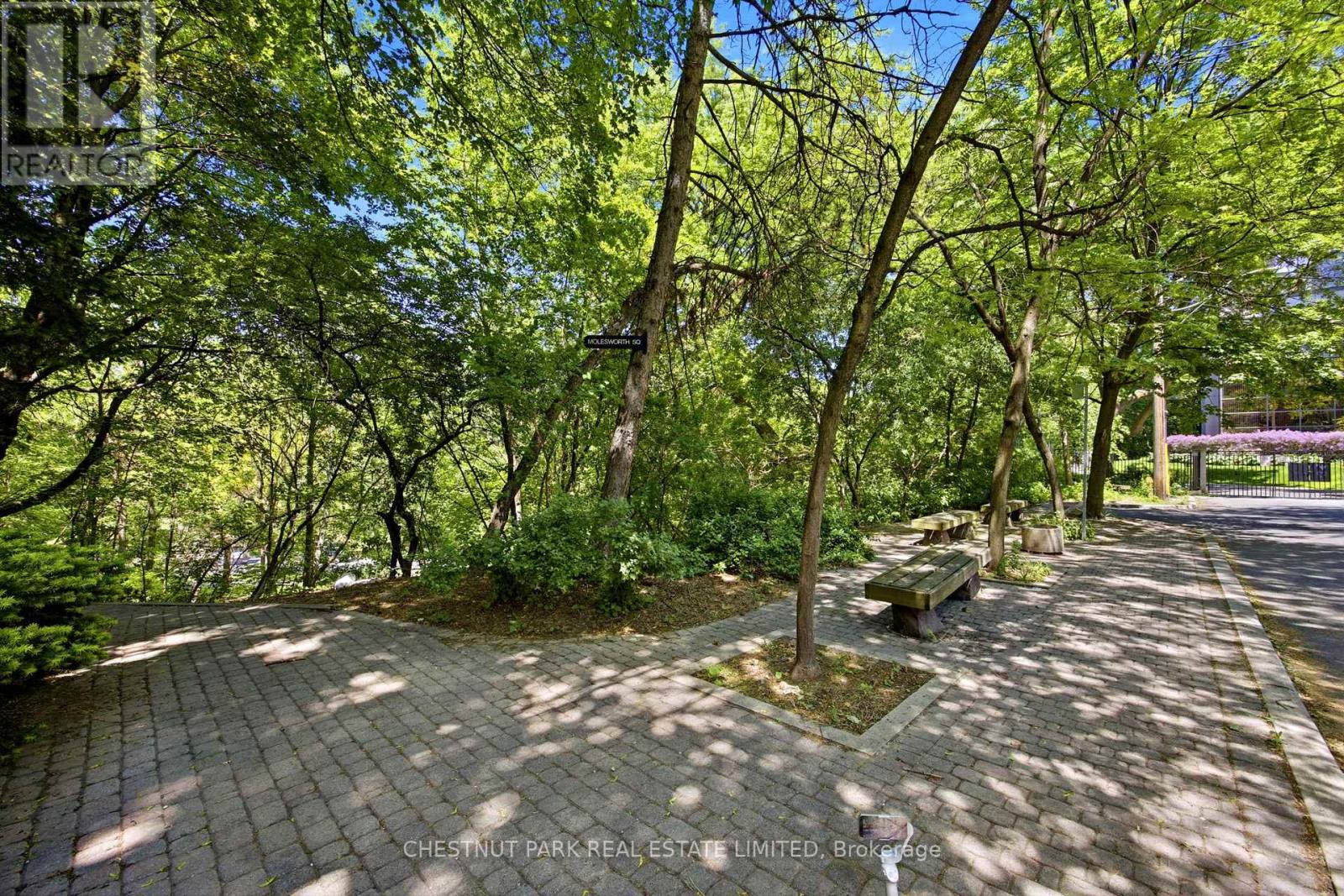177 Collier Street, Toronto, Ontario  M4W 1M2 - Photo 5 - C13434470