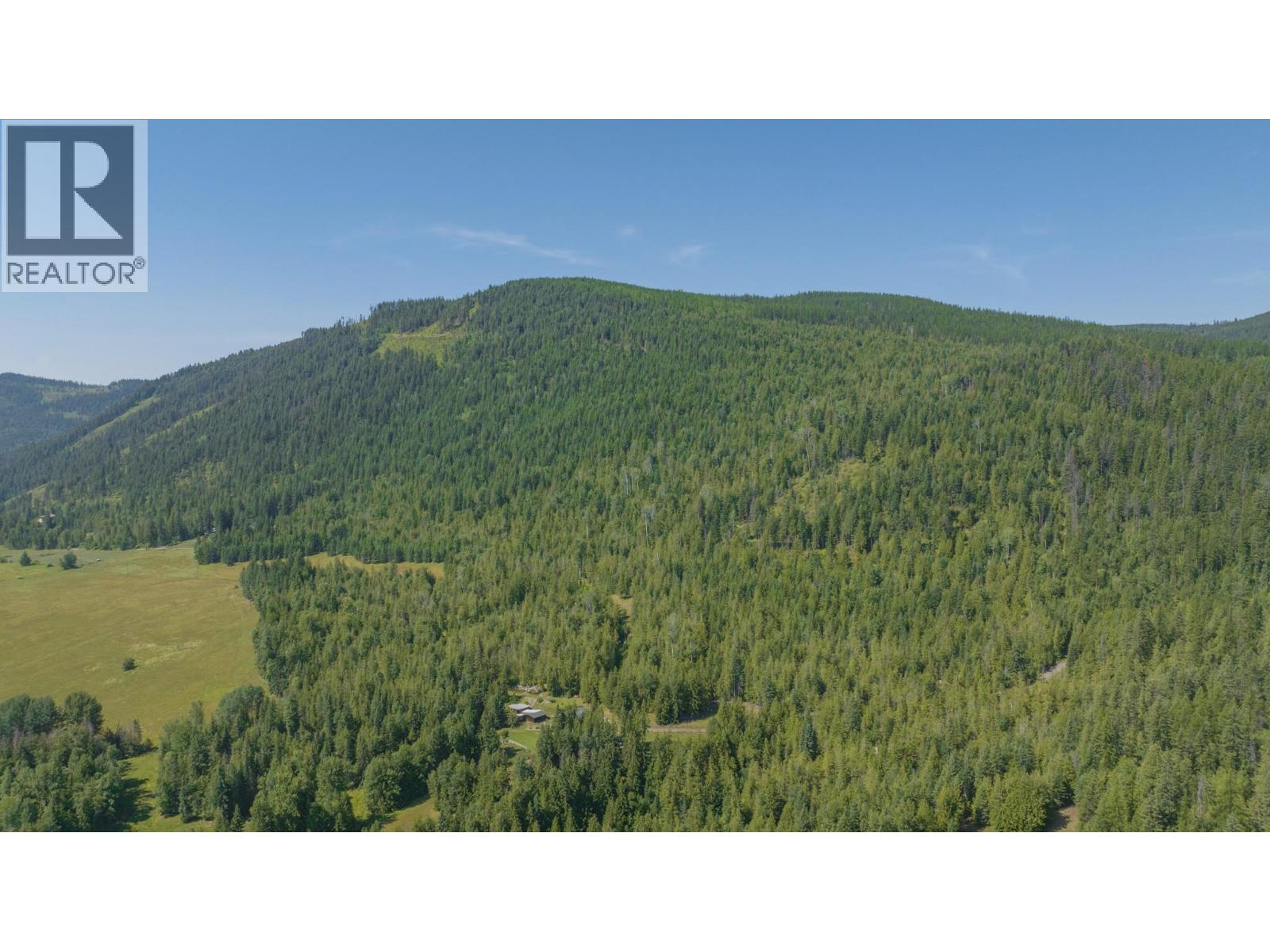 296 Trinity Valley Road, Lumby, British Columbia  V0E 2G4 - Photo 85 - 10390460