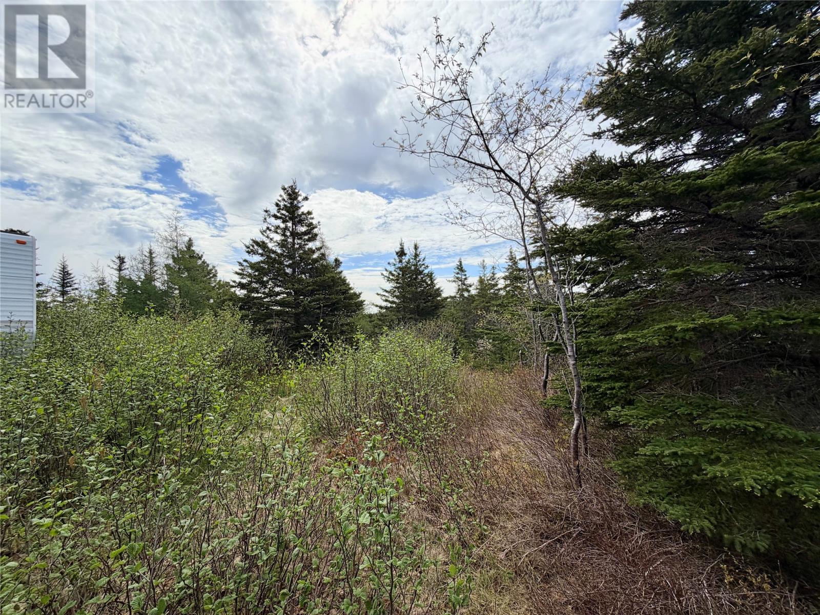55a Skibbereen Road, Holyrood, Newfoundland & Labrador  A0A 2R0 - Photo 12 - 1294068