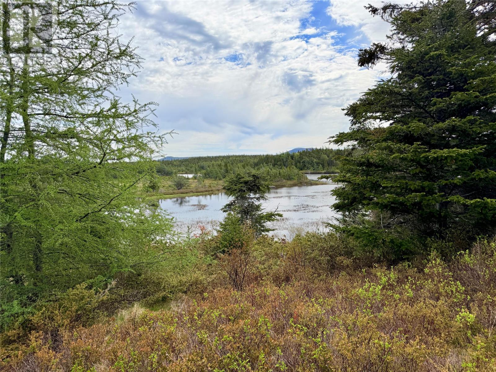 55a Skibbereen Road, Holyrood, Newfoundland & Labrador  A0A 2R0 - Photo 8 - 1294068