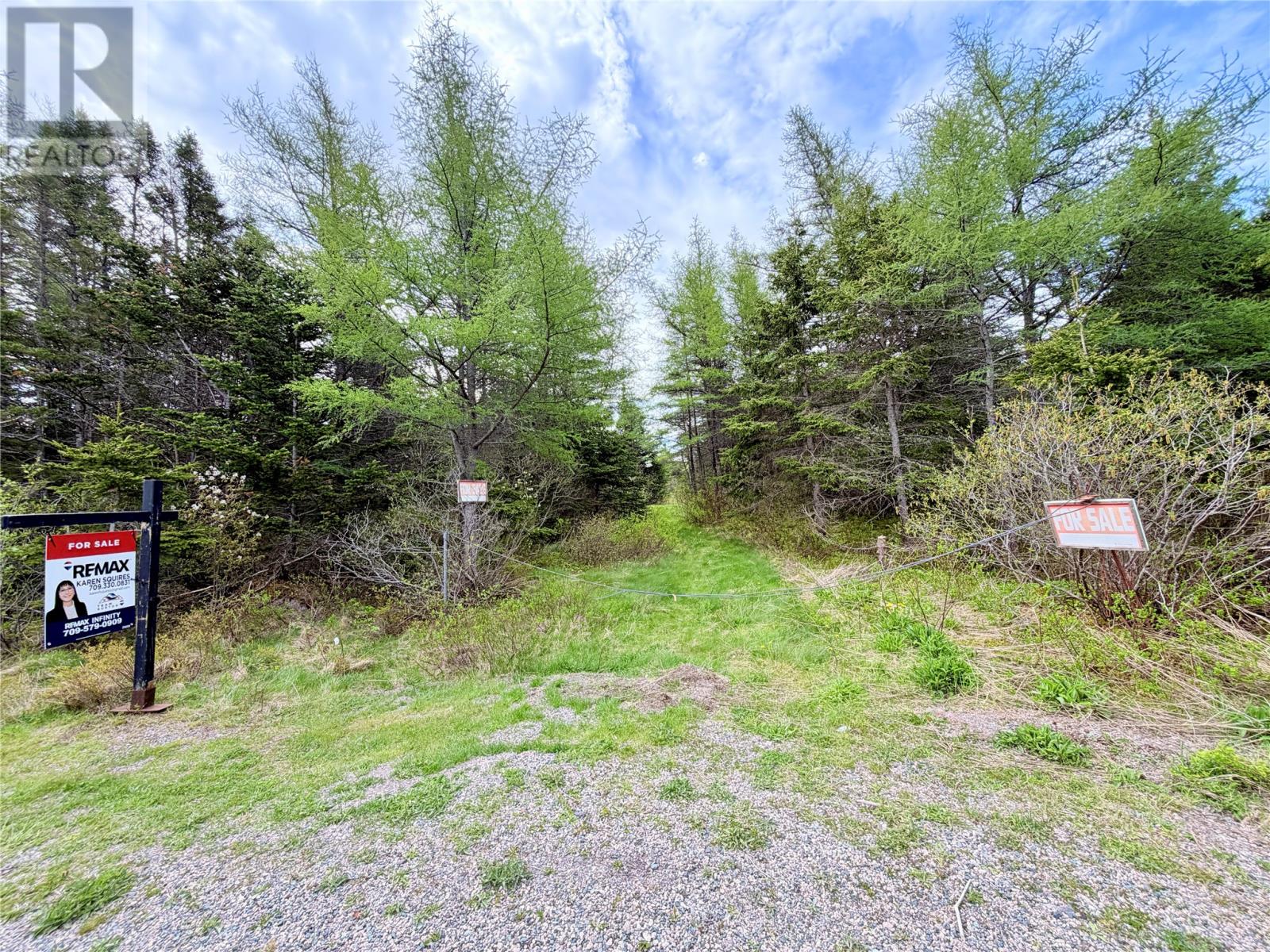 55a Skibbereen Road, Holyrood, Newfoundland & Labrador  A0A 2R0 - Photo 16 - 1294068