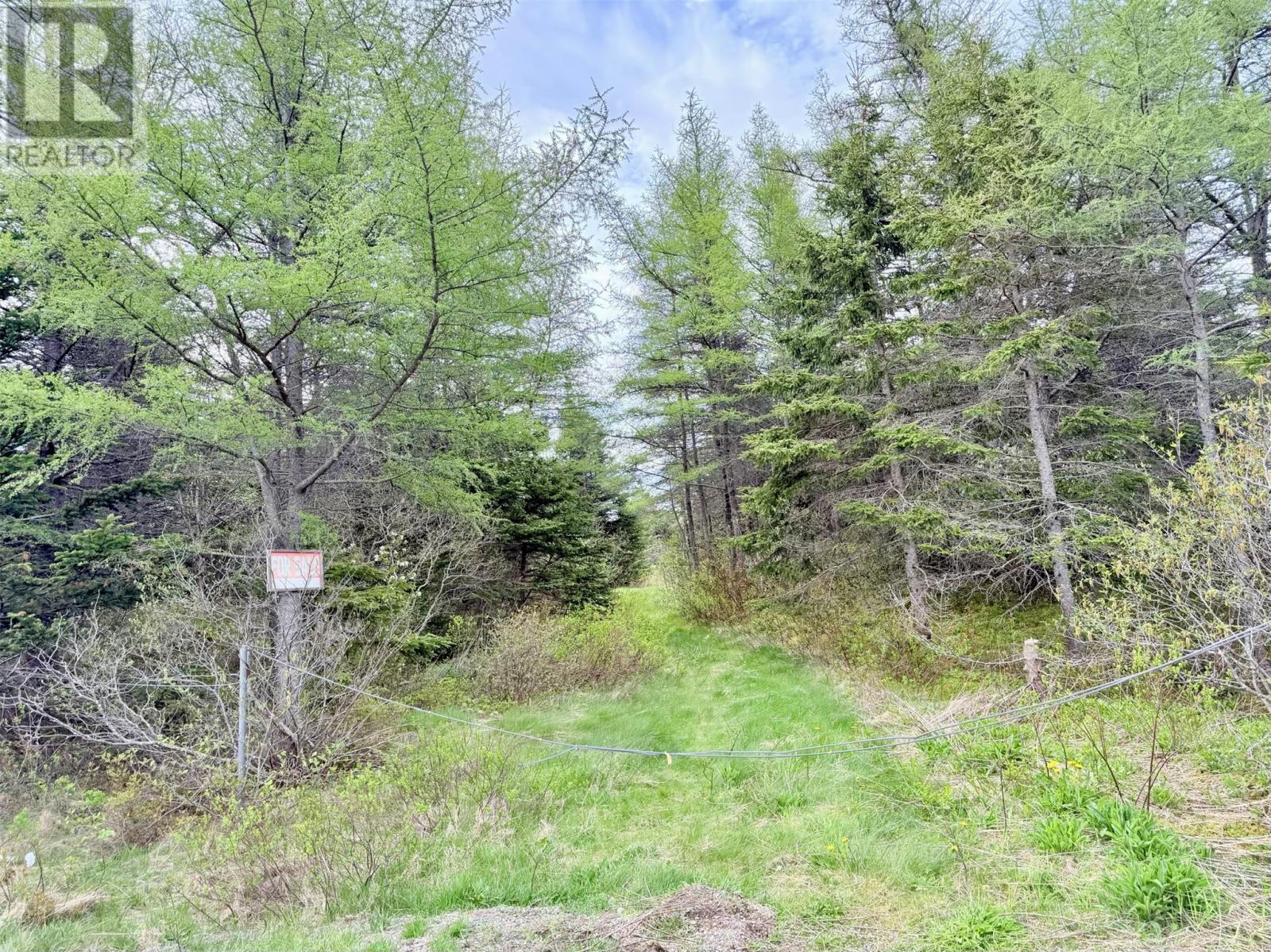 55a Skibbereen Road, Holyrood, Newfoundland & Labrador  A0A 2R0 - Photo 17 - 1294068