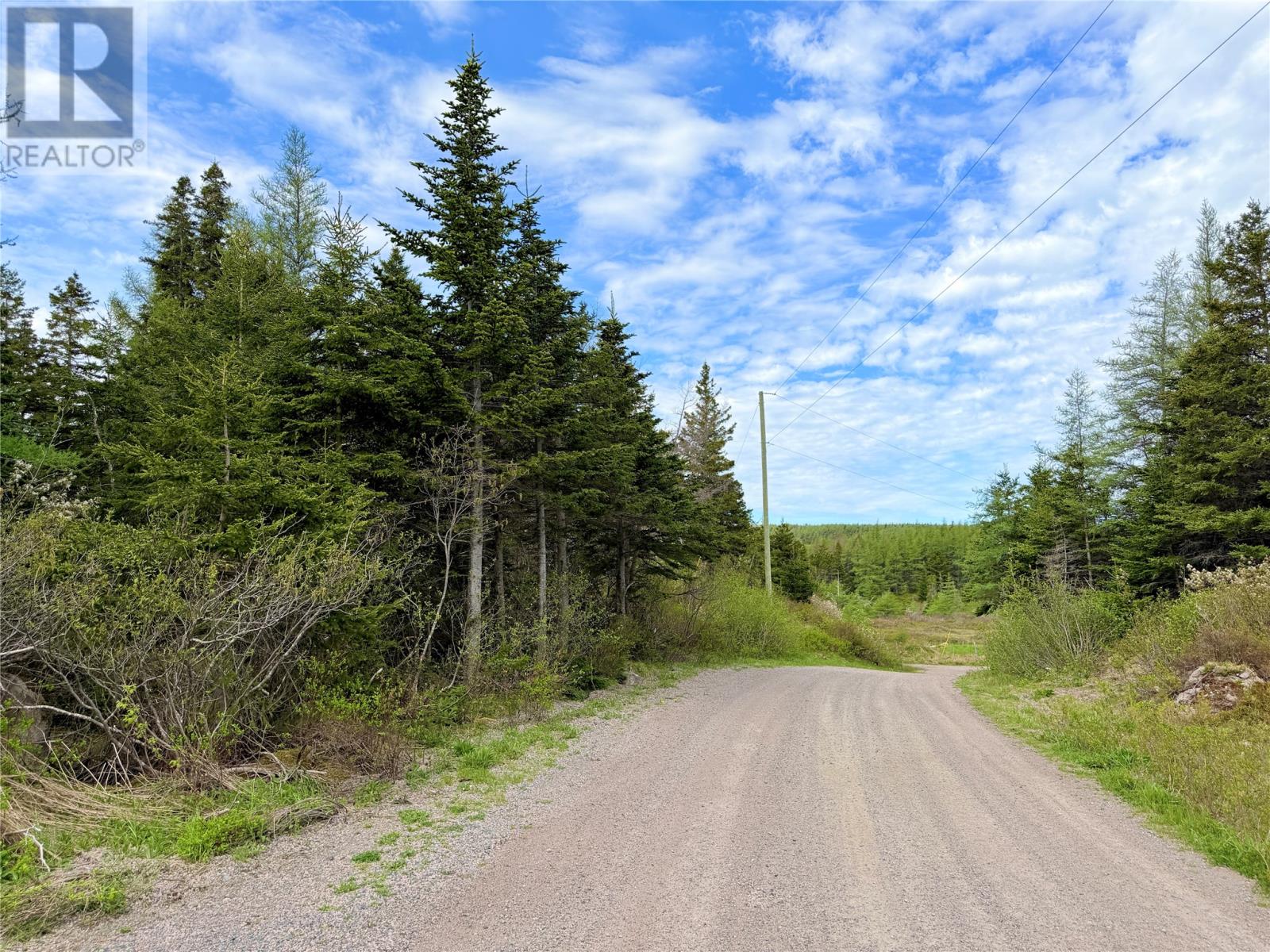 55a Skibbereen Road, Holyrood, Newfoundland & Labrador  A0A 2R0 - Photo 3 - 1294068