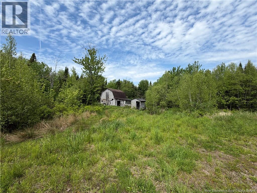 225 South Black River Road, Black River Bridge, New Brunswick  E1N 5S5 - Photo 3 - NB135295
