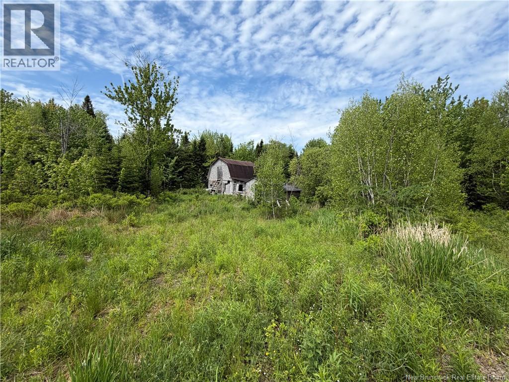 225 South Black River Road, Black River Bridge, New Brunswick  E1N 5S5 - Photo 4 - NB135295