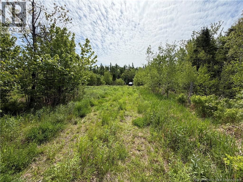 225 South Black River Road, Black River Bridge, New Brunswick  E1N 5S5 - Photo 12 - NB135295