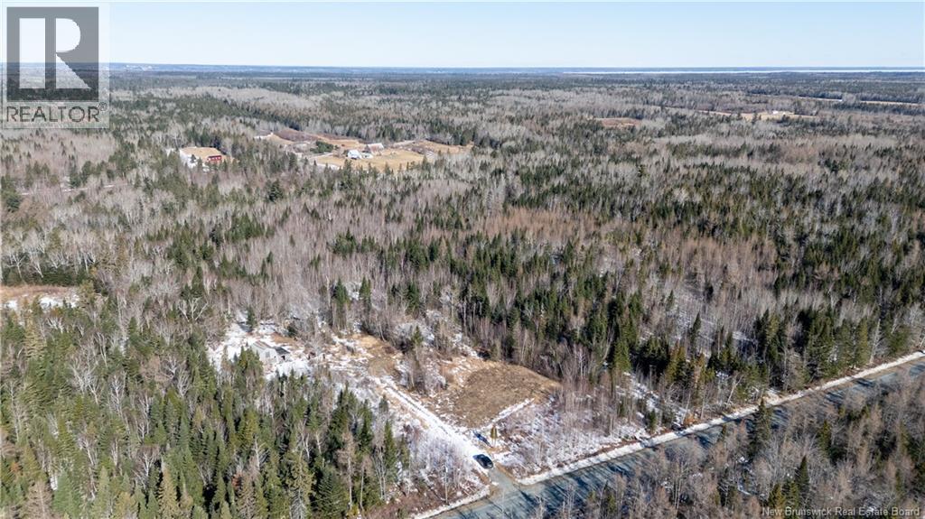 225 South Black River Road, Black River Bridge, New Brunswick  E1N 5S5 - Photo 9 - NB135295
