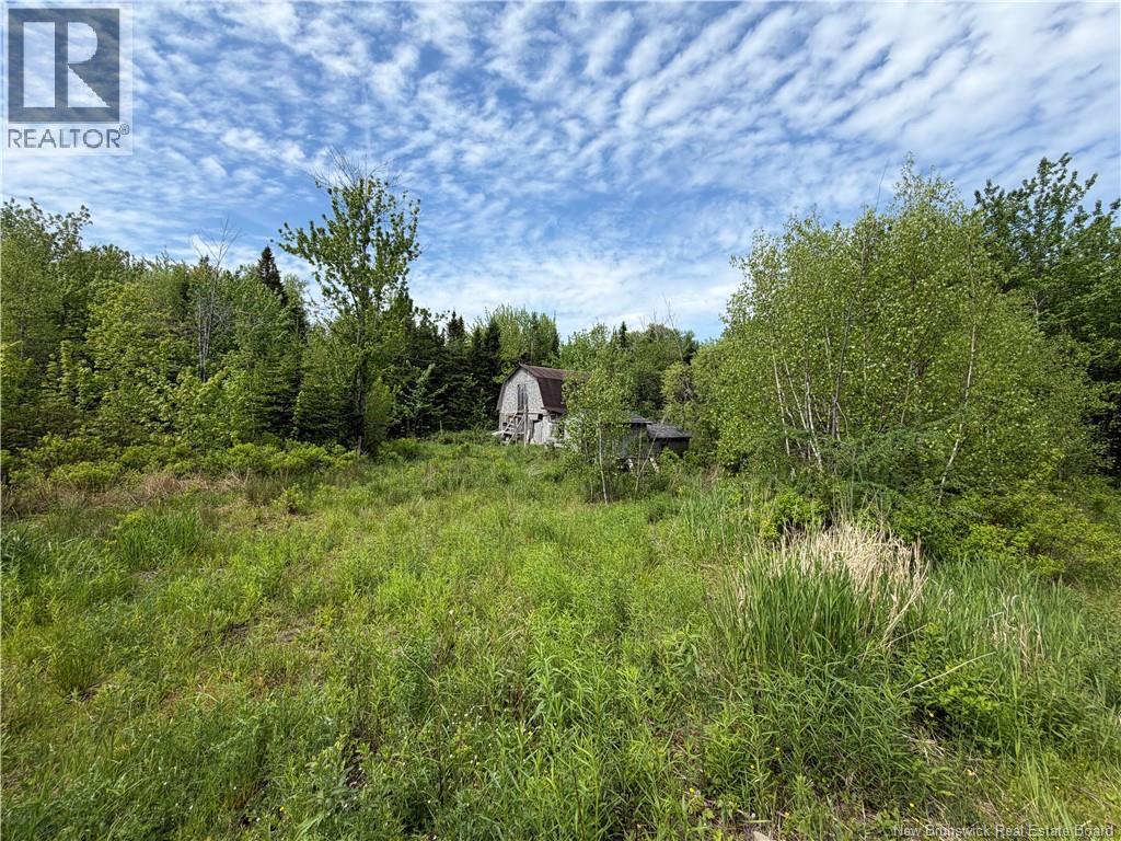 225 South Black River Road, Black River Bridge, New Brunswick  E1N 5S5 - Photo 21 - NB135295