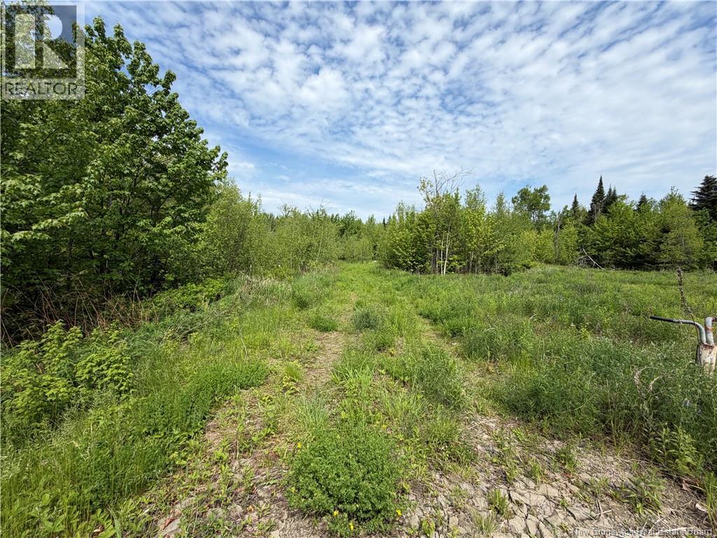 225 South Black River Road, Black River Bridge, New Brunswick  E1N 5S5 - Photo 22 - NB135295