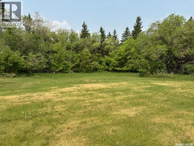 Chernoff Acreage, Veregin, Saskatchewan  S0A 4H0 - Photo 35 - SK039164
